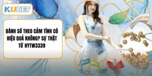 Đánh Số Theo Cảm Tính Có Hiệu Quả Không? Sự Thật Từ HYTW3339