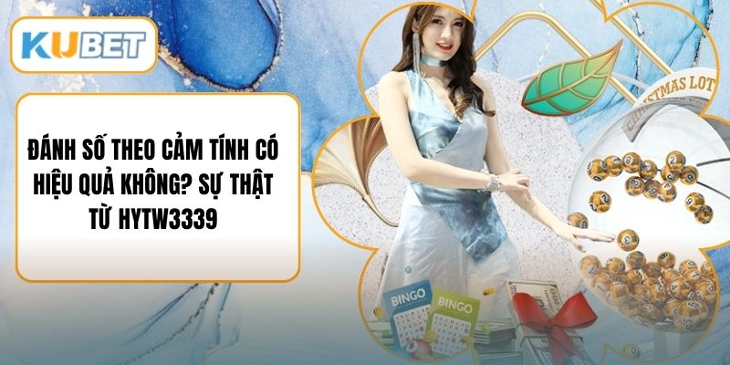 Đánh Số Theo Cảm Tính Có Hiệu Quả Không? Sự Thật Từ HYTW3339