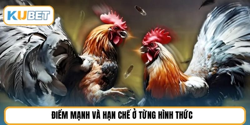 Điểm mạnh và hạn chế ở từng hình thức