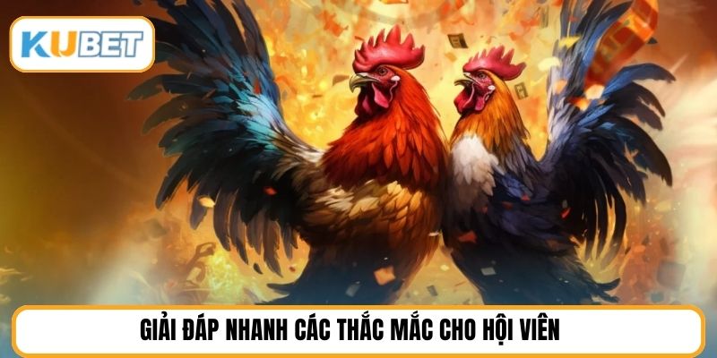Giải đáp nhanh các thắc mắc cho hội viên