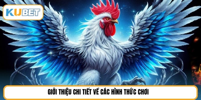 Giới thiệu chi tiết về các hình thức chơi