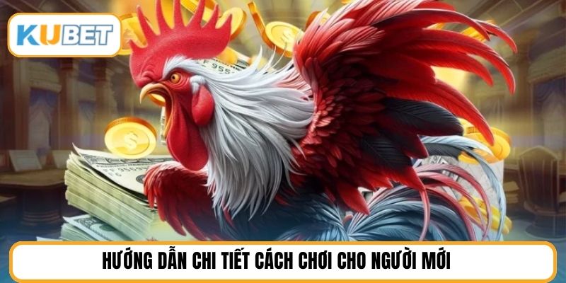 Hướng dẫn chi tiết cách chơi cho người mới