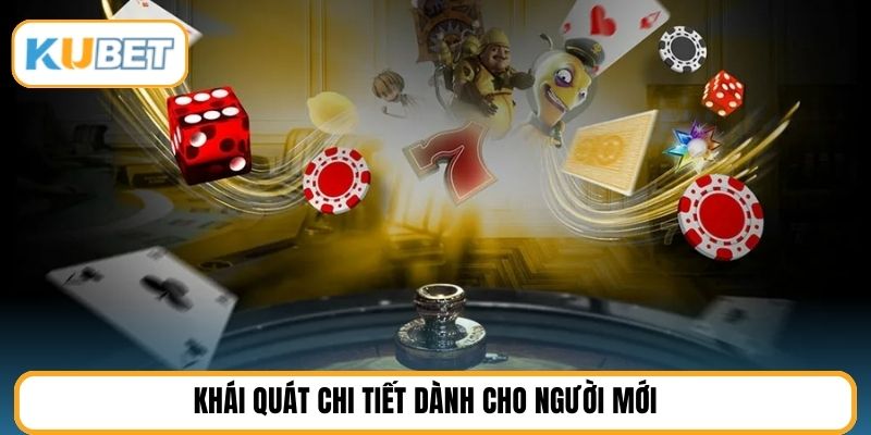 Khái quát chi tiết dành cho người mới
