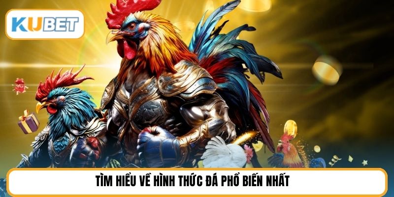 Tìm hiểu về hình thức đá phổ biến nhất